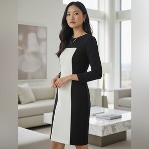 Akris Punto Navy & Ivory Colorblock Sheath Dress Minimalist Tailored US 6
